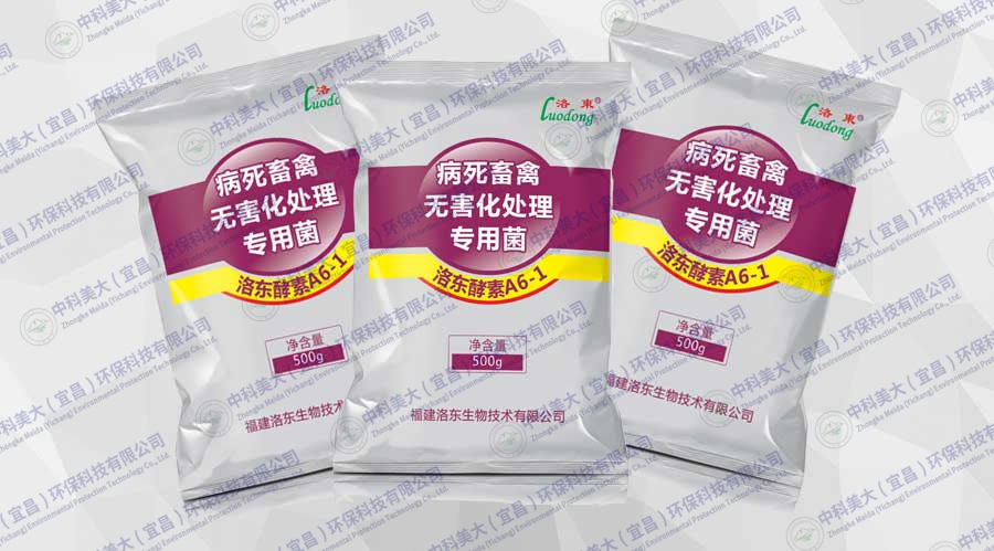 &#20061;&#28216;&#28216;&#25103;&#23448;&#32593;&#45;&#20061;&#28216;&#65288;&#20013;&#22269;&#65289;