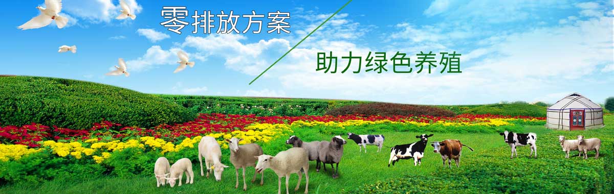 &#20061;&#28216;&#28216;&#25103;&#23448;&#32593;&#45;&#20061;&#28216;&#65288;&#20013;&#22269;&#65289;